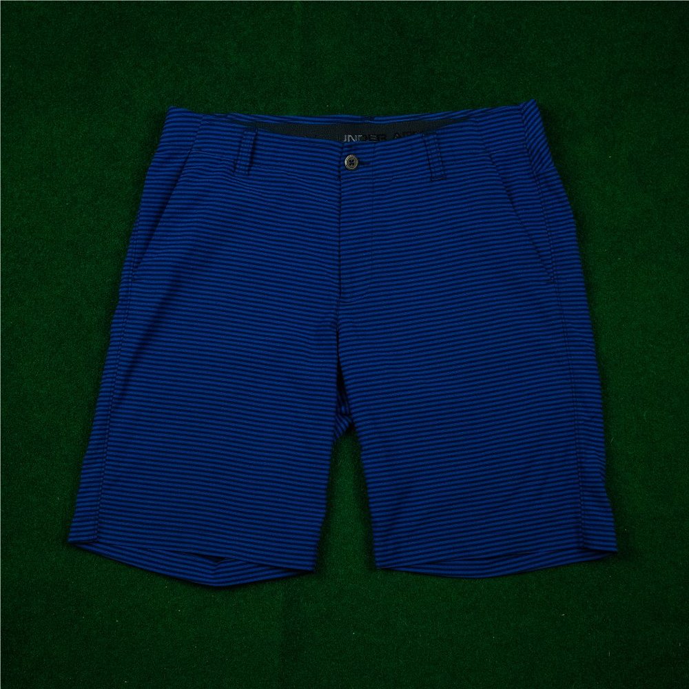 Under Armour Blue Horizontal Striped Shorts